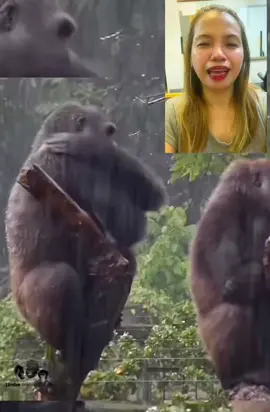 Funny Animals #funnyvideos #trendingvideo 
