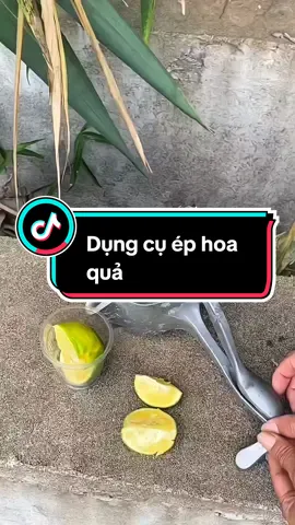 Dụng cụ ép hoa quả bằng gang ,ép nhanh ,gọn và sạch sẽ #dungcuephoaquabangtay #dungcuephoaqua 