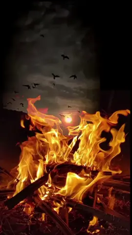 #heesqaaraami  fallow me plz 10k 😭💔 #foryoupage #viwes #fyp #qaarami 