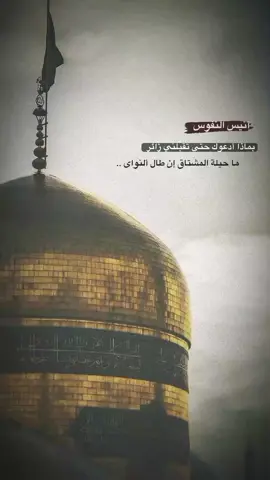 كمر مشهد دخيلك   #ذوالفقار_الكعبي  #الامام_الرضا_عليه_السلام  #مشهد 