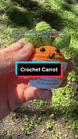 This handmade crochet carrot makes a thoughtful and charming gift, perfect for brightening anyone’s day. #crochet #giftideas #carrot #fyp #tiktokshop