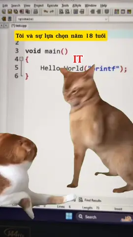 CNTT - Chăn nuôi trồng trọt .... #IT #meme #xhuong #xuhuong #code #CapCut #laptrinh #edit 