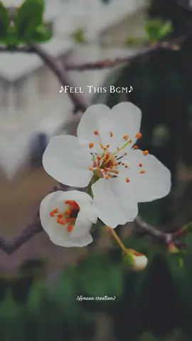 BGM ❤️‍🩹 🥀 #munbeva #song #tamilsonglyrics🎼💝 #lovefeelingssong💘💘 #fyppppppppppppppppppppppp #watsappstatus #foryou #lyrics #tq 