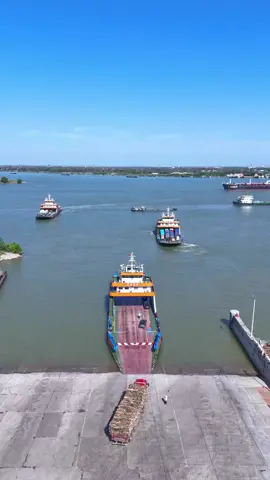 dear tiktok Team don't under review #foryou #foryoupage #viral #fyp 