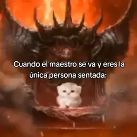 PUAJAJA, YO ANTES:#fyp #gato #viraltiktok #zbyzca #real 