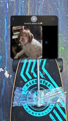 @RIZZ APP Bro the dog 😂😂 #textstories #rizz #texting #storytime #redditstories #satisfying #textmessagestories #text #rizzapp 
