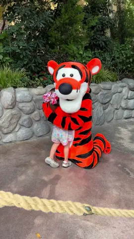 One of our Ambassadors gave Tigger the BIGGEST HUG EVER!  Such a magical moment #disneyland #disneyhug #disneytiktok 