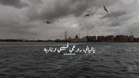 يا ليالي روحي لحبيبي وناديه ❤️ #خالد_الصيفي #شيرين #ياليالي #شيرين_عبدالوهاب #رومانسي #حزين @خـالـد | khaled 