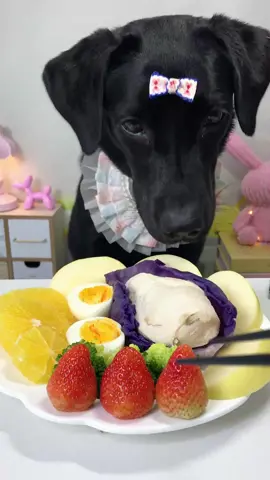 #labrador #Foodie #pets #dog #cute 