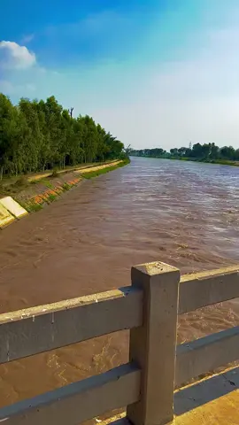 #dont_underview_my_video #میرا_سہنا_پنڈ_قادی_ونڈ_ظلع_قصور♥️🌈🌱🌴🍂🥰 #unfrezzmyaccount #video 