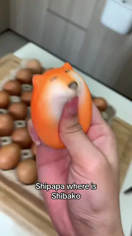 WHERES SHIBAKO 😳🥚🔗Get Missing Shibako LINK IN BIO #shibako #linkinbio #