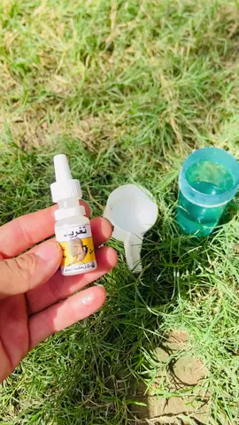 #بلابل_ابيض_الخدين #العراق_السعوديه_الاردن_الخليج #بلابل_العراق_الحبيب #العالم_العربي #بلابل #شعب_الصيني_ماله_حل😂😂 @بلابل قلعة العراق #صعدوني_اكسبلورر 