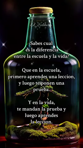 #frasesyreflexiones #frasesmotivadoras #frases #frases_de_todo #soloparati #viralvideos #el_solitario_ram #motivation #paratii #paratiiiiiiiiiiiiiiiiiiiiiiiiiiiiiii #humildad #foryou #mujeresqueinspiran #mujeres #hombres #viral #humildadantetodo #reflexionesdelavida #reflexiones #motivationalvideo 