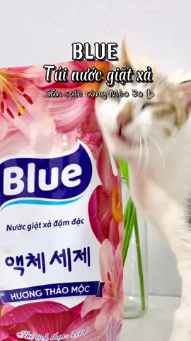 Nước giặt Blue #howaboutbo #sansalecungmeobo #review #xuhuong #fyp 
