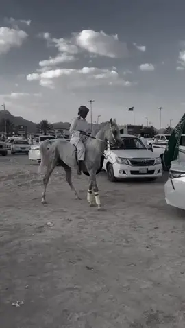 #93saudinationalday #وادي_نجران 