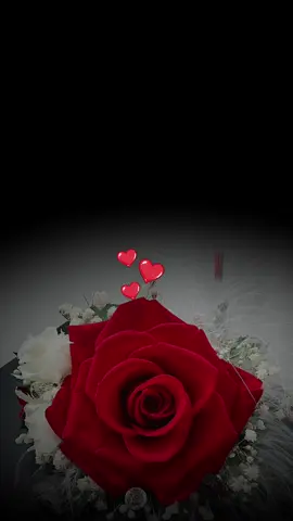 #مسائي_انت_بكل_تفاصيلك❤ 