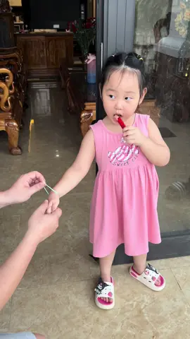Tại sao vậy hả Voi.?#voivuive 