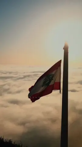 واجب من الوفاء يهزنا ✝️🇱🇧☪️!  ⸐⸐⸐⸐⸐⸐⸐⸐⸐⸐⸐⸐⸐⸐⸐⸐⸐⸐⸐ Asrtist: #mohamed_ahmed Song: #mawtini #soukoutt #explore #status #lebanon #pray_for_lebanon  الفنان: #محمد_احمد اغنية: #موطني #سكوت #اكسبلور #حالات_واتس #لبنان #غزة 