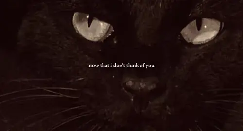 blame it on the black star.  a bad omen. #radiohead #nature #wolves 