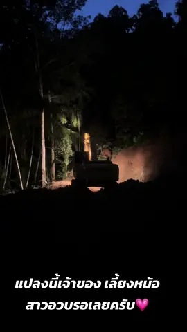 สาวไซไลน์ รอคนขับแม๊คโครเดี่ยวใจ #น้องพงศ์แม๊คโครเองครับ💵👌 #ติดต่องานโทร0655979710น้องพงศ์ #รับงานชุมพรระนอง🥰 #เจ้าของรถแม๊คโครไม่มีเมีย 