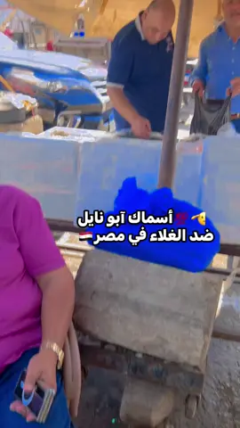 ضد الغلاء في مصر احمد ابو نايل #احلي #تحيا #لحبايبي #و #متابعيني #الحمدالله #علي #قد #الاماك #بنحاول #نوفر لكم #اقل #سعر #في #مصر #باذن #الله #خير #جمبري #استاكوزا #سبيط #كلماري #مطاعم #اسماك #بالجملة #احمدابونايل #ابونايل #ابو #نايل #توريد #شركات #فنادق #مطعم #هيبر #مورد #محلات #تجمعات #مدارس #مدرسه #تعليم #نتيجه #ظهور #عاجل #ترند #مصر ابو #نايل Ahmed Mahmoud
