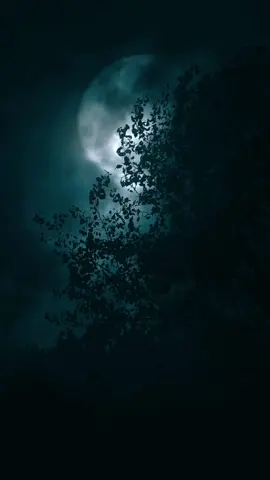 Dark vibes 🥀🎧 Mockingbird Eminem  #aesthetic #nature #forest #black #dark #song #eminem #mockingbird #vibe #relax #calm #edit #real #fyp #foryou #foryoupage #paratiiiiiiiiiiiiiiiiiiiiiiiiiiiiiii 