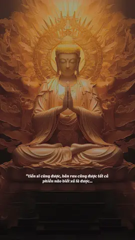 Sống 1 kiếp người bình an là được... #CapCut #tuetam9519 #tamtrang #tuetamhocphat🍀 #xuhuong #daisucctt #phatphapnhiemmau #nammobonsuthichcamauniphat 