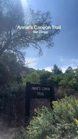 hiking day 🏃‍♀️ y después claro que nos mereciamos una In-N-Out 🤤🤌🏼 @Rochelle  #sandiego #california #hike  #contentcreator #inandout 