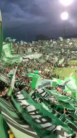 HINCHADA VERDOLAGA 🤍💚🤍💚 #atleticonacional #verdolaga #18 #paratii #fy 