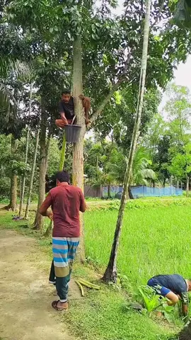 funny relaxing video ,#fun,#xuhuong 