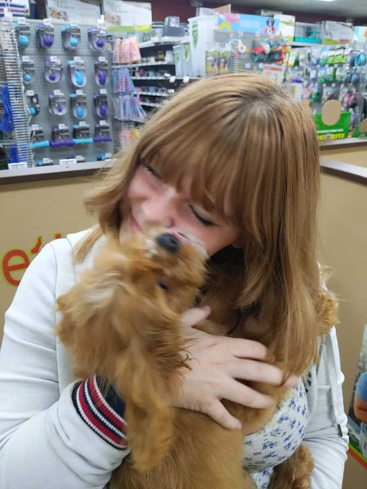 my handsome boy ❤️ archie appreciate ‼️‼️ #cavapoo #dog 