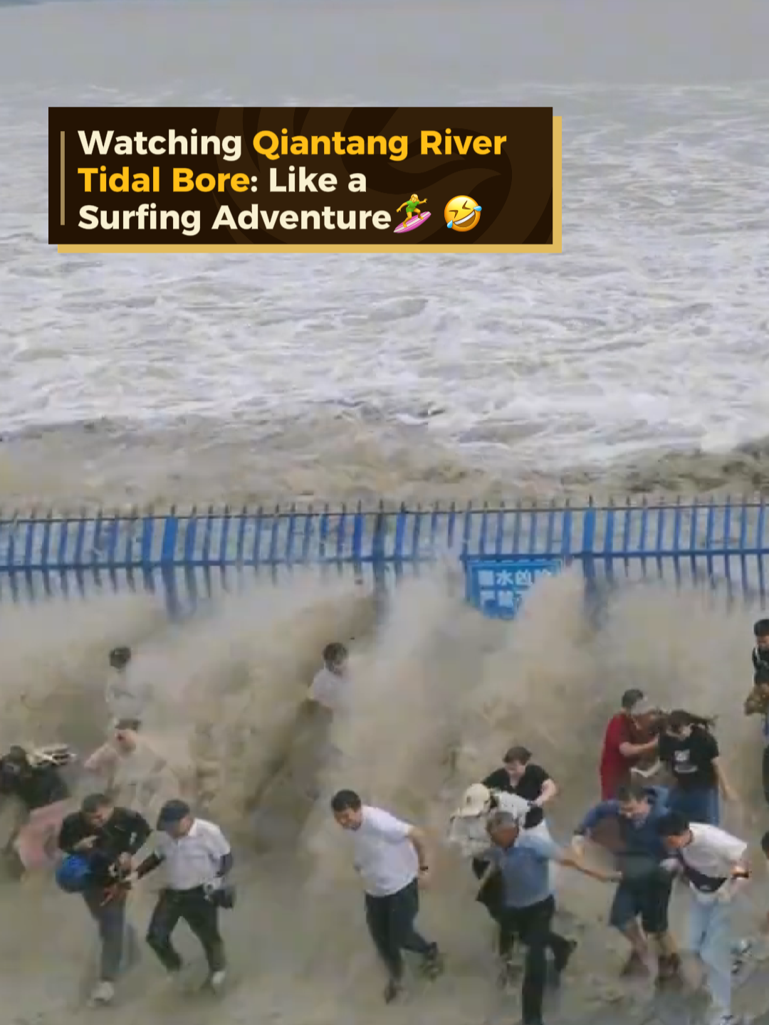 Watching Qiantang River Tidal Bore: Like a Surfing Adventure #qiantangrivertide #qiantangriver #tide #funnyvideo #China #surfing #nature #fyp #trendingvideo
