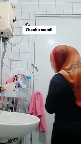 #chauhu #kucingpinter #kucingtaiwan #kucingmandi #orengcats #kucingtiktok #fypシ゚viral 