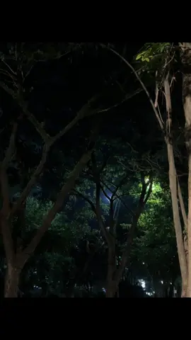 “jangan datang lagi cinta”