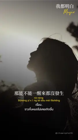 🥺🍃 #veeraphat55 #story #content #music #CapCut #我都明白