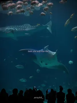 : thời gian trôi chẳng chờ đợi ai #kmd #khietmandong #viraltiktok #lyrics #fyp #xh #xyzbca #story #sadstory #tamtrang #sad #xhtiktok #viral #fypシ 