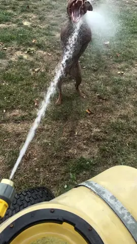 Sometimes you have to let the crazy out