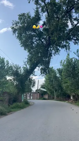 سکون کی خواہش انسان کو تنہائی پسند بنا دیتی ہے 🌸 🦢 🤍 #fyp #fypppppppppppppp #charsadda #tarnab #village #viraltiktok #unfrezzmyaccount #unfrezzmyaccount 