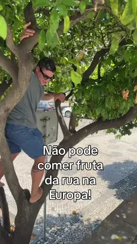 Nao pode comer fruta na rua! #fruta #europa #viagem #curiosidades 