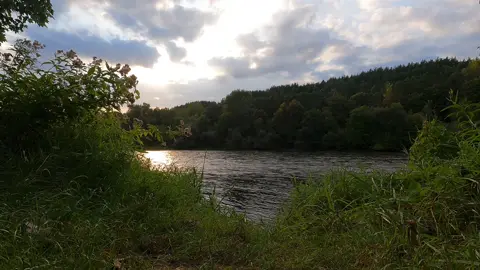 River flow 🌿 #growmyaccount #fyp #videographer #sunsetlover #photographer #4k #naturesounds #relax #relaxation #nature #video 