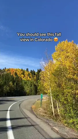 This may be my new favorite fall view in Colorado😍 To find this spot enter Remedy’s View Too in Google Maps (it does not appear on Apple Maps). There is plenty of space to pull off, so please DO NOT park on the road or stop in the road! I saw Guanella Pass and Peak to Peak were a mess of traffic so if you can avoid going here on weekends, definitely do.  Have you seen any fall foliage yet??  #scenicdrive #scenicview #mountainview #fallfoliage #fallcolors #colorado #fallaesthetic  