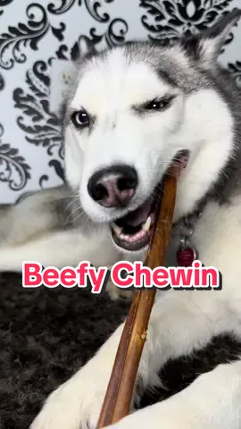 This is such a great long lasting chew! My dog absolutely loved this and couldn’t get enough of it   #dogenrichment #dogessentials #dogtreats #dogchews #dogmusthaves #dogsoftiktoks #dogtok #fypage #foryourpage #bark 