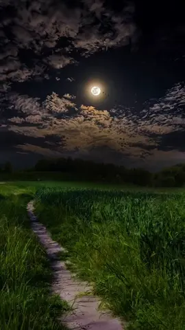 Take a peaceful stroll under the moonlight ✔as the clouds drift across the sky. The gentle sounds of nature create a serene atmosphere, perfect for a relaxing night walk. #peaceful #peacefulmoments #naturelovers #tranquility #naturevibes #foryoupag #shorts #travelphotography #exploremore #natureishealing #Outdoors #greenery #forestlife #beautifulscenery #landscapephotography #nature #unfreeze 