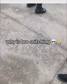 “You gon tell him or am I” ahh pose 💀🙏#dog #searxh #police #who #snitch #jail #policemen #sniff 