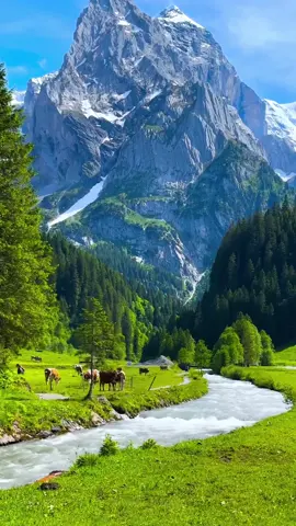 Finlândia Inexplorada: As Paisagens Mais Belas Que Você Nunca Viu 🌲❄️ #finlandia  #viagem  #turismo  #natureza  #viraltiktok  #travel  #foryou 