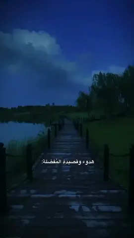 #هدوء وقصيدة المُفضلة: ✨💚.    #باسم_الكربلائي. 