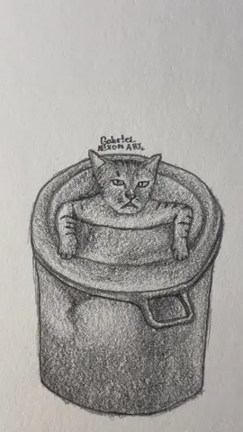 Bros home was disturbed 😭                 #fyp #art #sketch #drawing #cat #foryouuuuuuuuuuuuu 