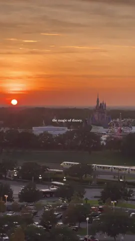 put your disney countdown in the comments! 🏰❤️✨ this took forever to edit but i loved going back and seeing old clips from past trips 🥹 #disneyworld #disney #wdw #disneycontent #disneycontentcreator #waltdisneyworld #disneytiktok #disneytrip #disneyresort #disneyparks #disneyday #disneyvacation #disneyland #waltdisney #magickingdom #magickingdompark #epcot #hollywoodstudios #animalkingdom 
