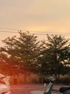 Only one green that✍️😣