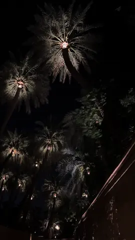 يطيح جفن الليل وأهز كتفة ‏نجم يشع و باقي الليل مطفي . #الممر_الخافت #الدرعيه 